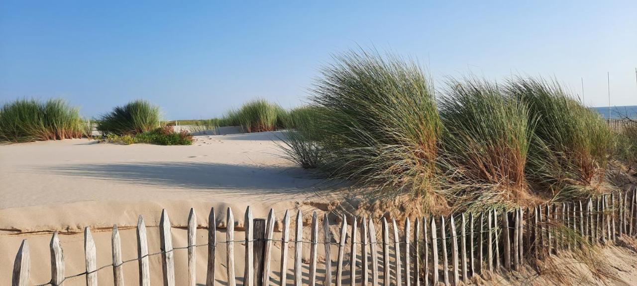 Maison Sur Le Bassin D'Arcachon La Teste-de-Buch Exteriör bild